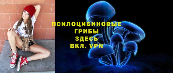 ГАЛЛЮЦИНОГЕННЫЕ ГРИБЫ Балабаново