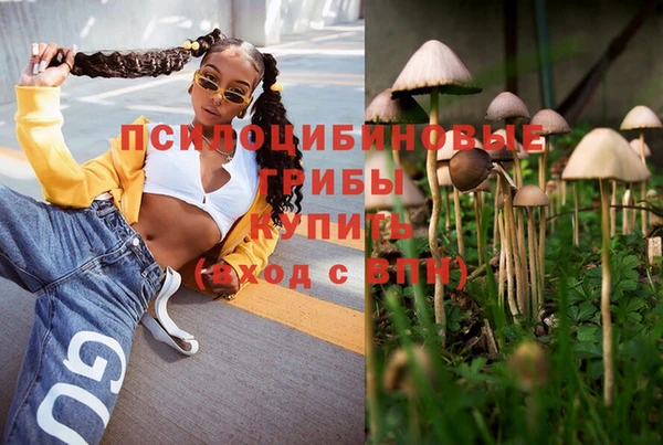 ГАЛЛЮЦИНОГЕННЫЕ ГРИБЫ Балабаново