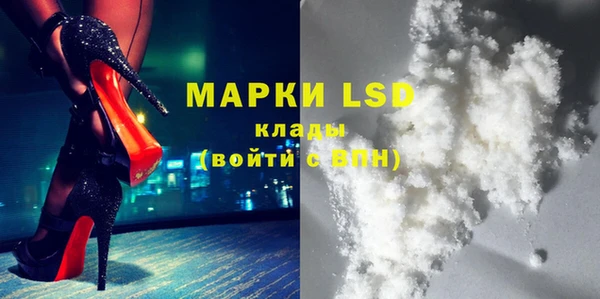 ПСИЛОЦИБИНОВЫЕ ГРИБЫ Баксан
