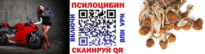 сколько стоит Соликамск Псилоцибиновые грибы мицелий